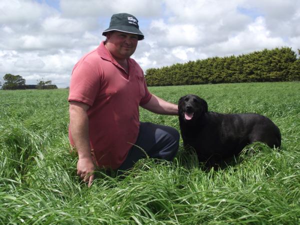 Neil Martin and his dog Bridget in a Knight Italian Ryegrass pasture
